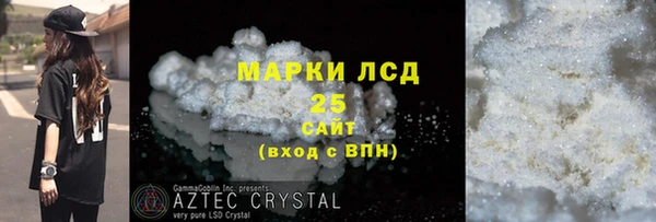 ГАЛЛЮЦИНОГЕННЫЕ ГРИБЫ Михайлов