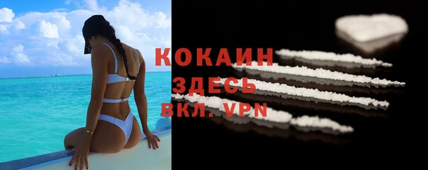 ГАЛЛЮЦИНОГЕННЫЕ ГРИБЫ Михайлов