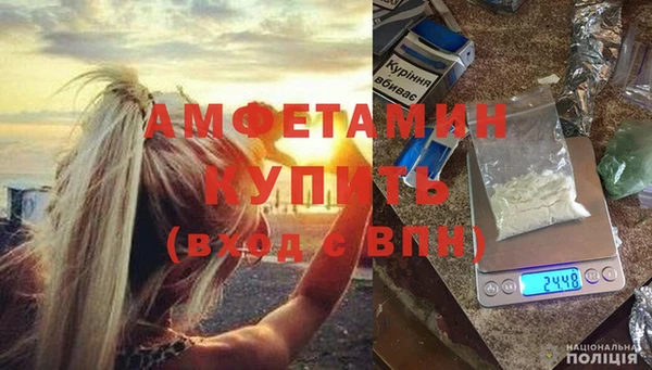 ГАЛЛЮЦИНОГЕННЫЕ ГРИБЫ Михайлов