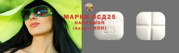 ГАЛЛЮЦИНОГЕННЫЕ ГРИБЫ Михайлов