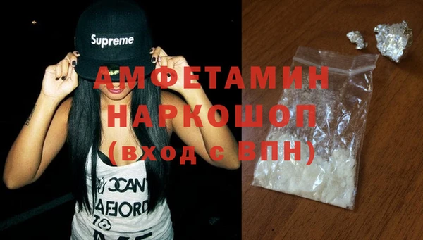шишки Снежногорск