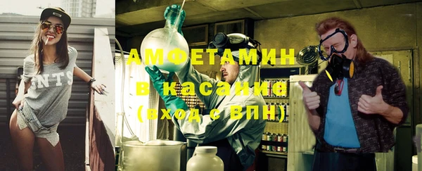 ГАЛЛЮЦИНОГЕННЫЕ ГРИБЫ Михайлов