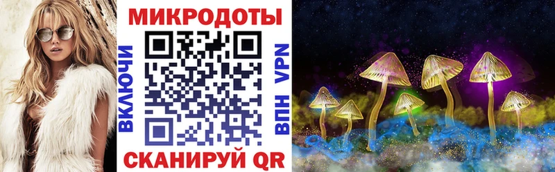 KRAKEN   Костерёво  Галлюциногенные грибы Cubensis  хочу  